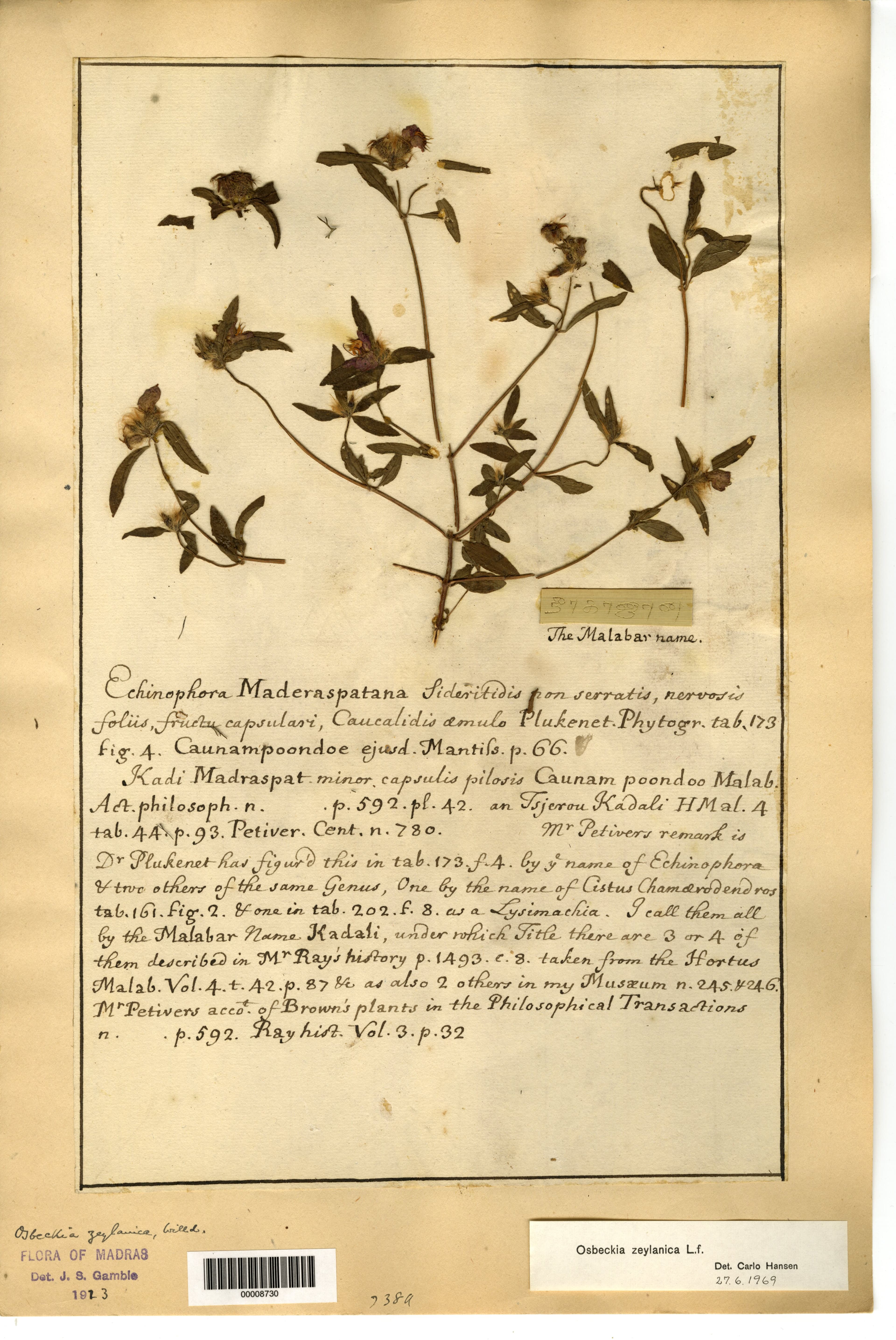 Archival Herbarium volumes